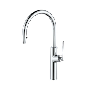 1031 Kitchen Pull-Out Faucet