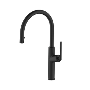 1031 Kitchen Pull-Out Faucet