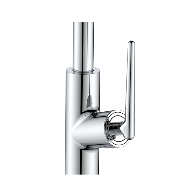 1031 Kitchen Pull-Out Faucet