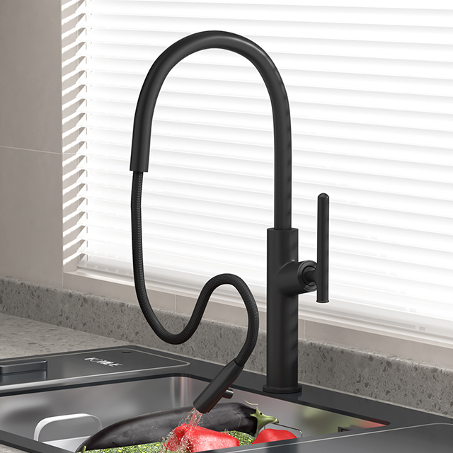 1031 Kitchen Pull-Out Faucet