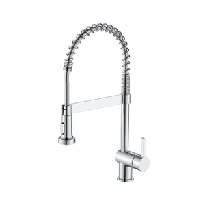 WJ-1040-2 Kitchen Pull-Out Faucet