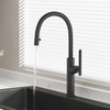 1031 Kitchen Pull-Out Faucet