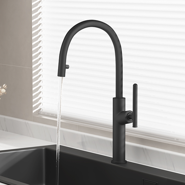 1031 Kitchen Pull-Out Faucet