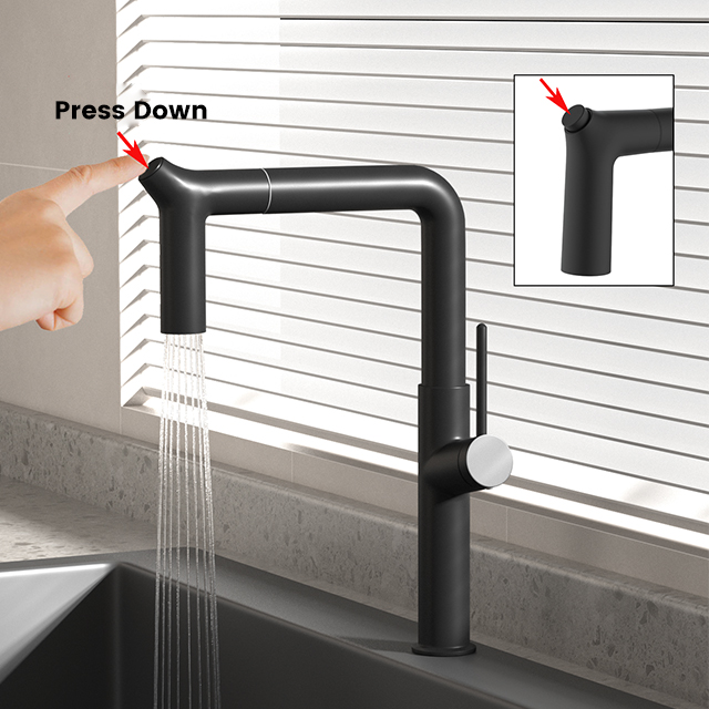 WJ-1041-1 Kitchen Pull-Out Faucet