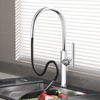 1031 Kitchen Pull-Out Faucet