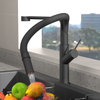 WJ-1043-1 Kitchen Pull-Out Faucet