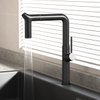 WJ-1041-1 Kitchen Pull-Out Faucet