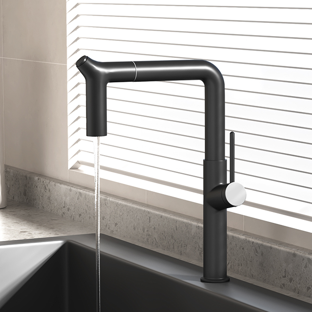 WJ-1041-1 Kitchen Pull-Out Faucet